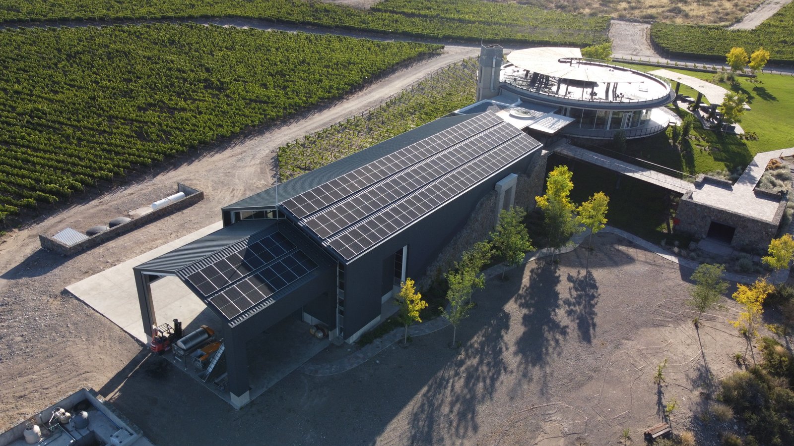 Bodega Mendocina